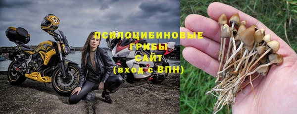 прущие грибы Армянск