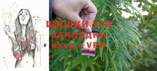 шишки Баксан