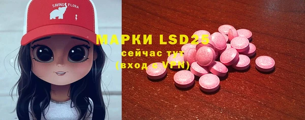 прущие грибы Армянск